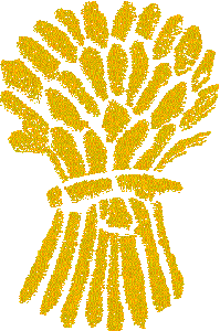 Cheshire County Cricket Club